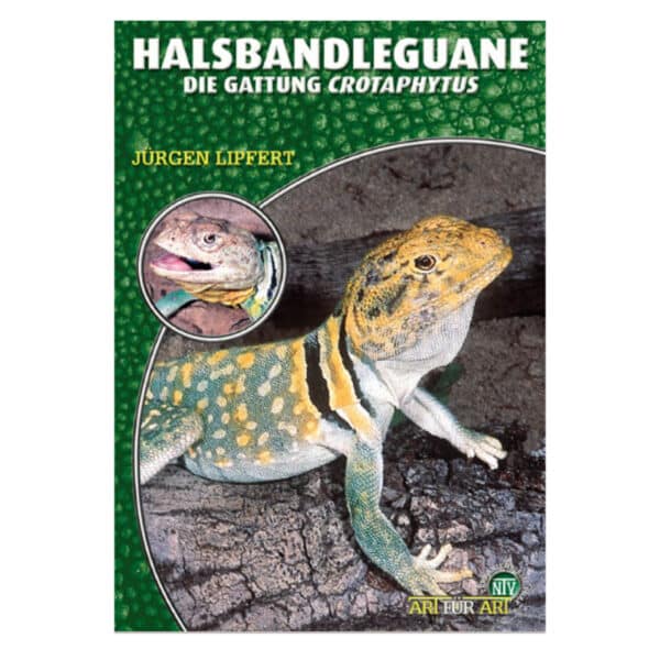 Halsbandleguane