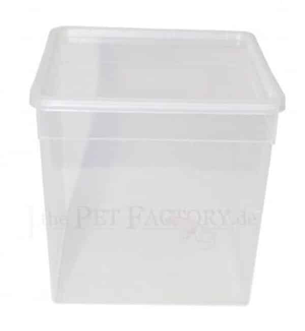 Braplast 5l