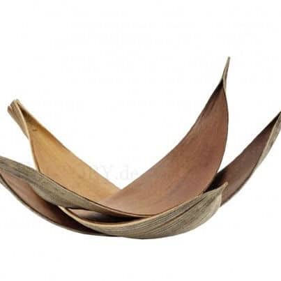 Kokosblätter