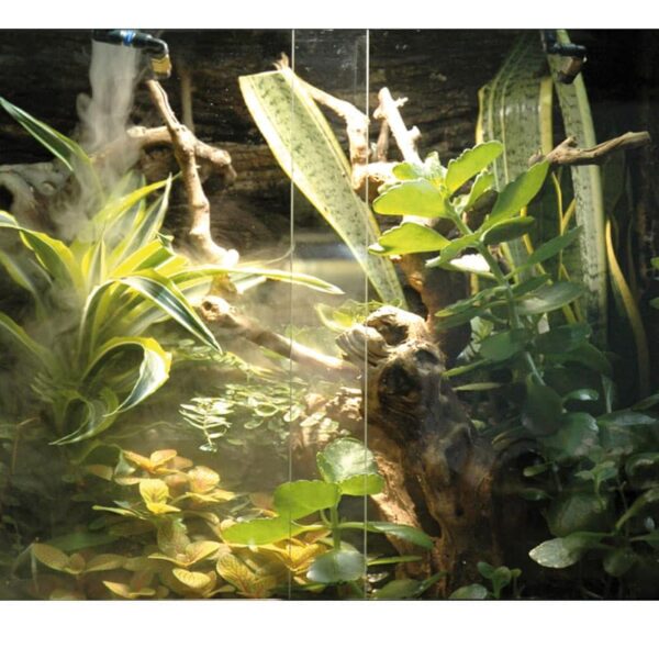 Super-Fog-II-Nebelgeraet-im-Terrarium