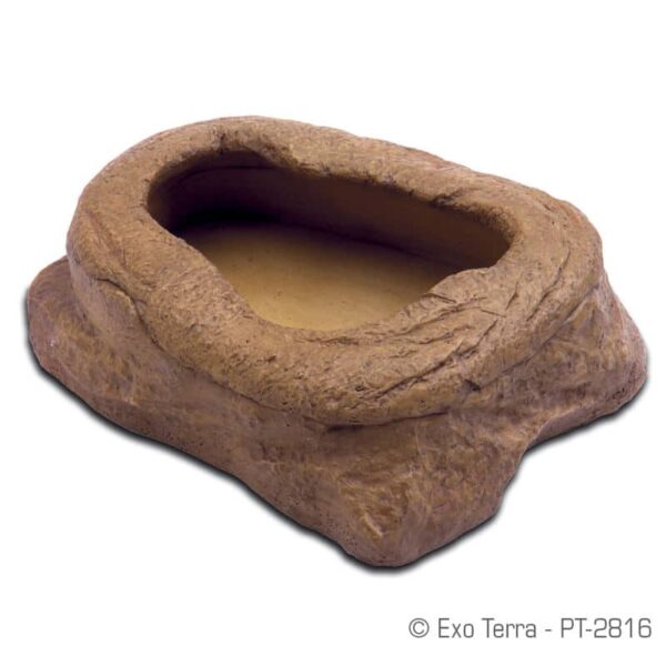 Worm Dish