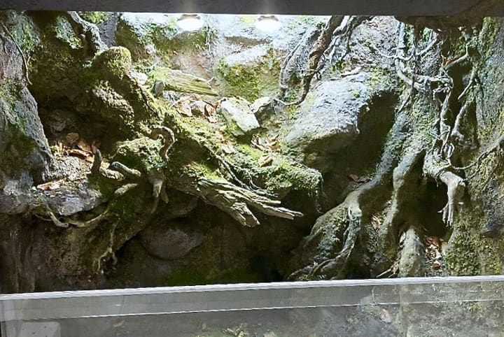 Terrarium nach dem Umbau wie neu