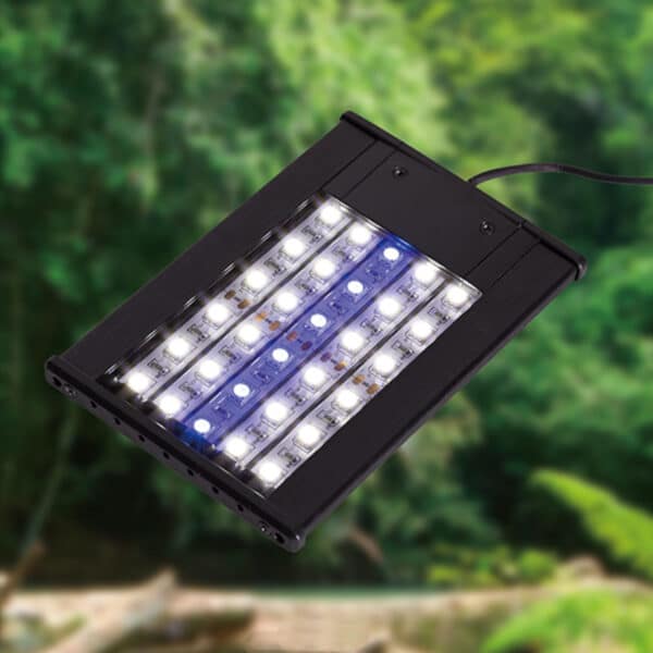 LED Reptiplanet 2